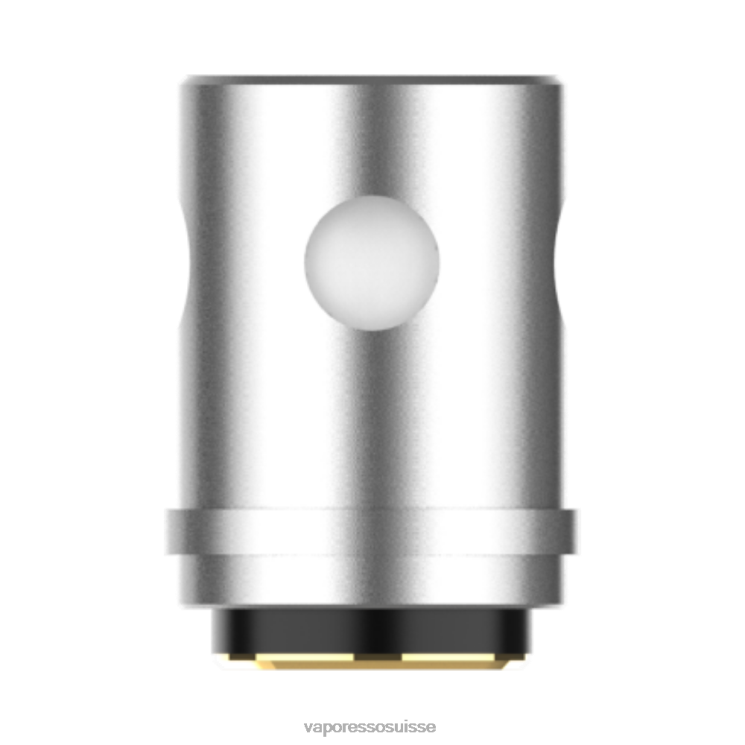 Vaporesso EUC bobines (5 pièces) | Vaporesso Suisse euc maillé 0,6ohm 24F60371